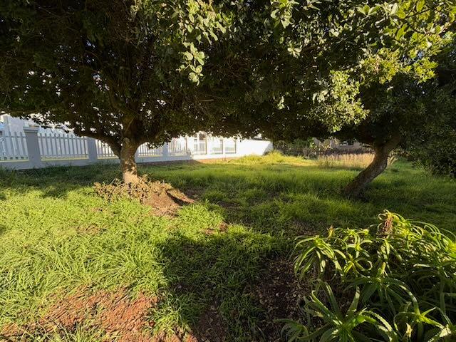0 Bedroom Property for Sale in Tergniet Western Cape
